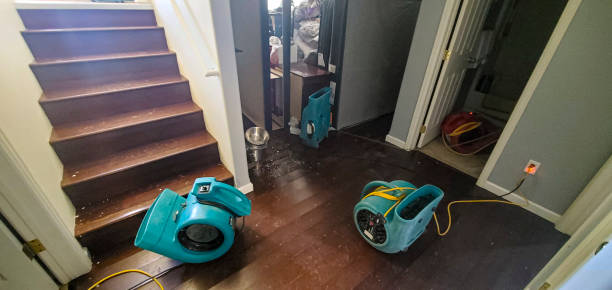 Best Emergency water damage restoration  in Castle Hills, TX