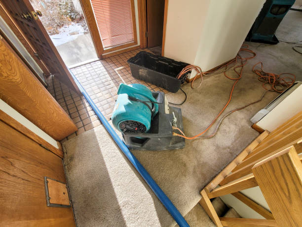 Best Residential water damage restoration  in Castle Hills, TX