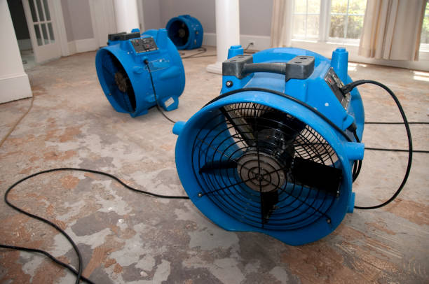 Best Emergency water extraction  in Castle Hills, TX