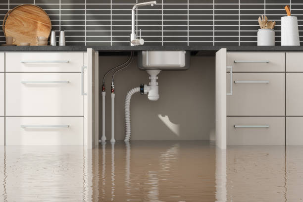  Castle Hills, TX Water damage restoration Pros